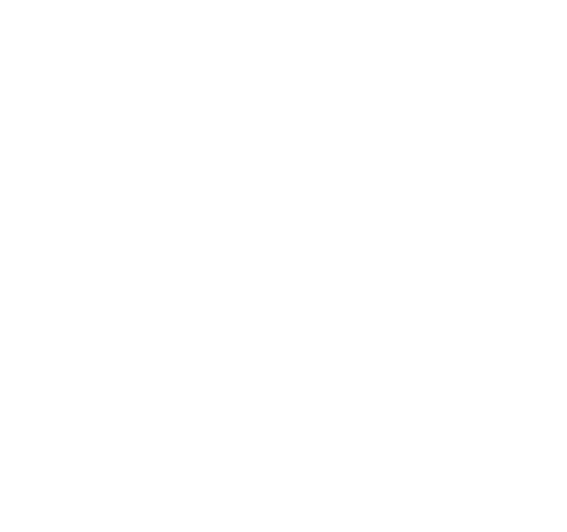 De Maasnimf, anno 1992